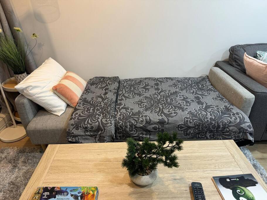 Stunning 3 Bd - 2 Bth City Apt - Pool & Carpark Окленд Екстер'єр фото